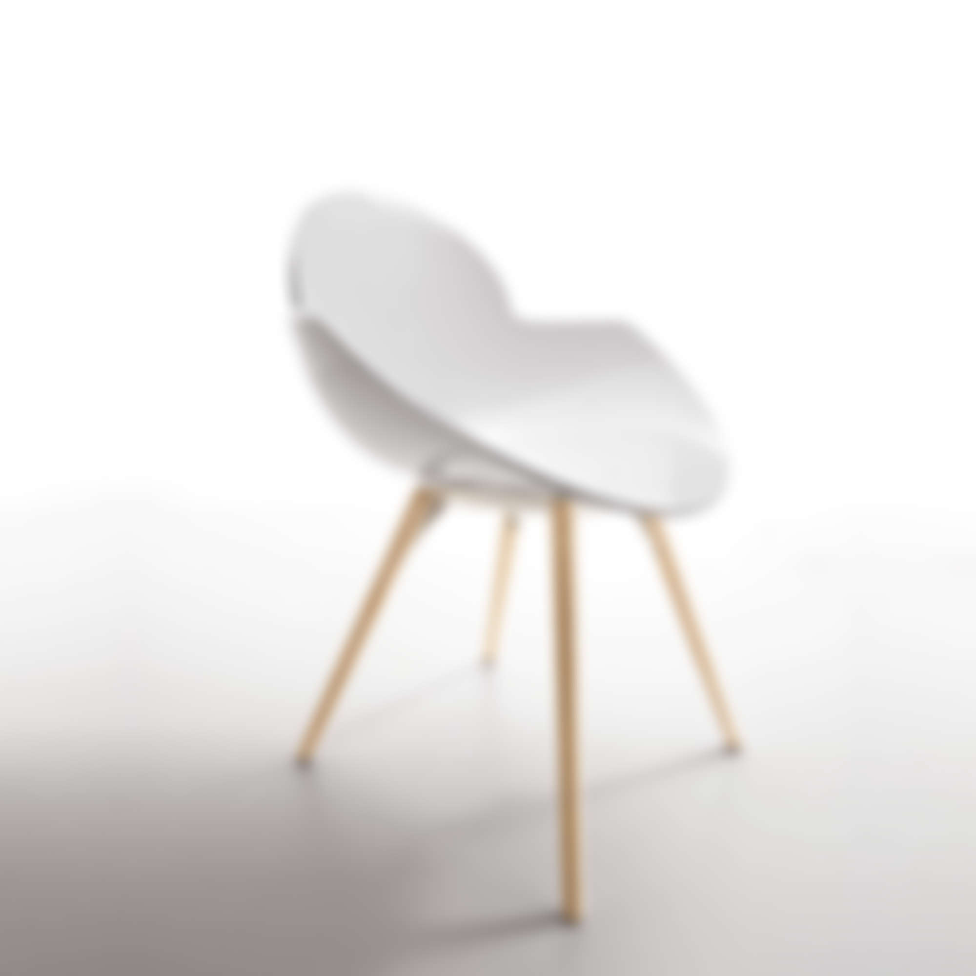 contemporary-cookie-transparent-wooden-legs-dining-lounge-chair-by-infiniti-design-2